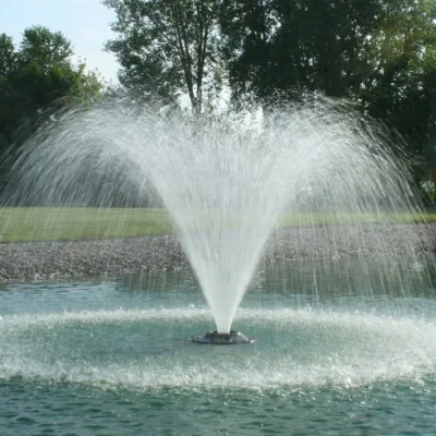 Offre d'usine extérieure moderne programmée grande fontaine de danse de l'eau de jardin