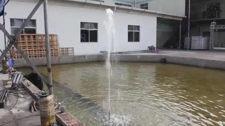 Buse de fontaine dansante à Jet d'eau en acier inoxydable, décoration de piscine de jardin